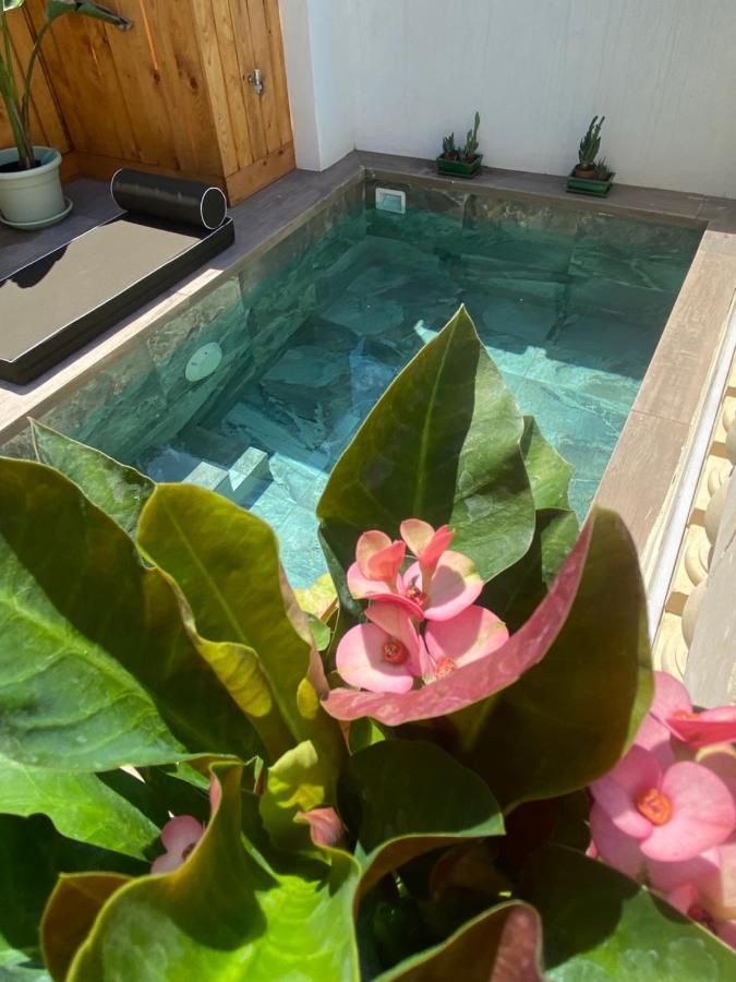 Casa Maria Tereza Bed & Breakfast